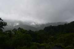 DSC0005
